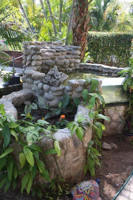Lush Garden House Near Beaches With Private Pool. Puerto Escondido  Exterior photo