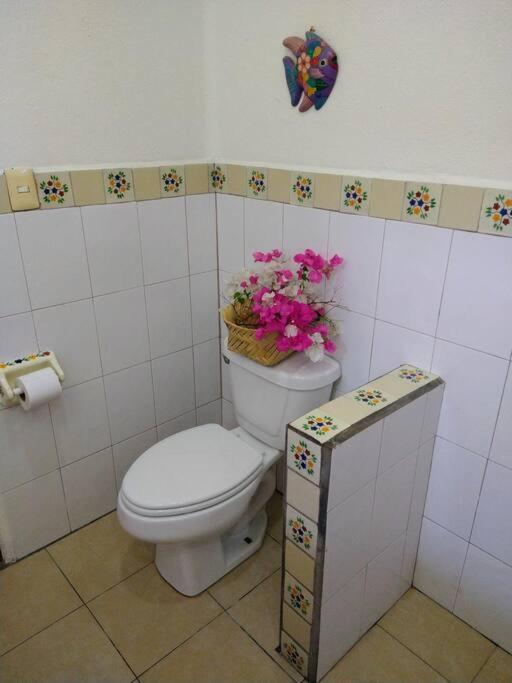 Lush Garden House Near Beaches With Private Pool. Puerto Escondido  Exterior photo